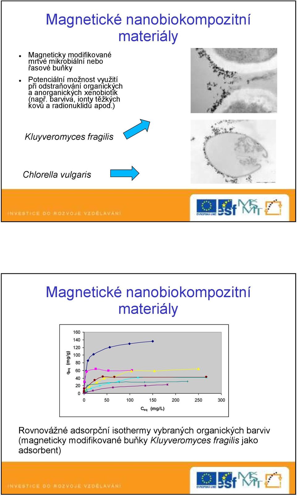 ) Kluyveromyces fragilis Chlorella vulgaris Magnetické nanobiokompozitní materiály qeq (mg/g) 160 140 120 100 80 60 40 20 0 0 50 100