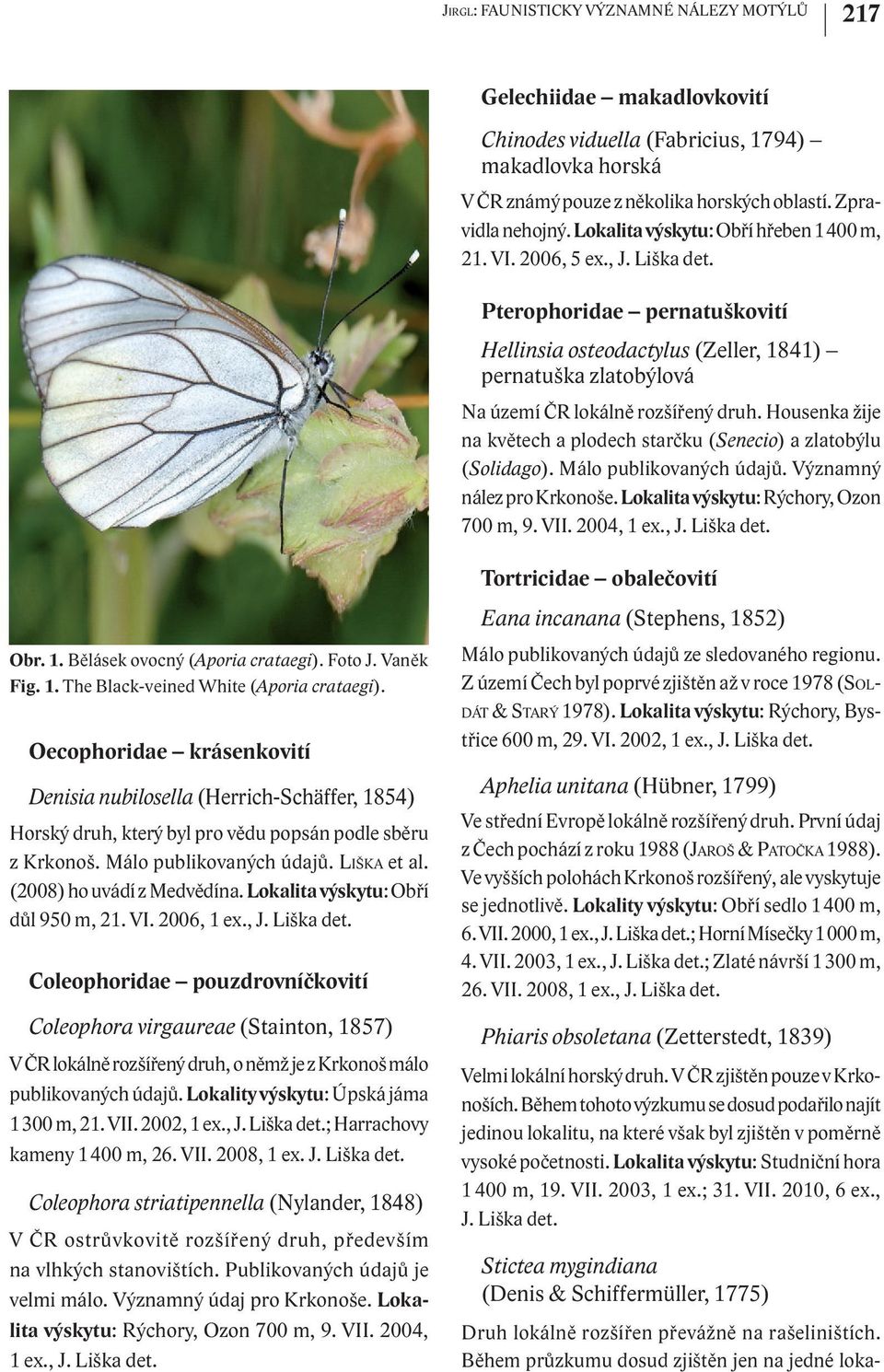 Housenka žije na květech a plodech starčku (Senecio) a zlatobýlu (Solidago). Málo publikovaných údajů. Významný nález pro Krkonoše. Lokalita výskytu: Rýchory, Ozon 700 m, 9. VII. 2004, 1 ex., J.