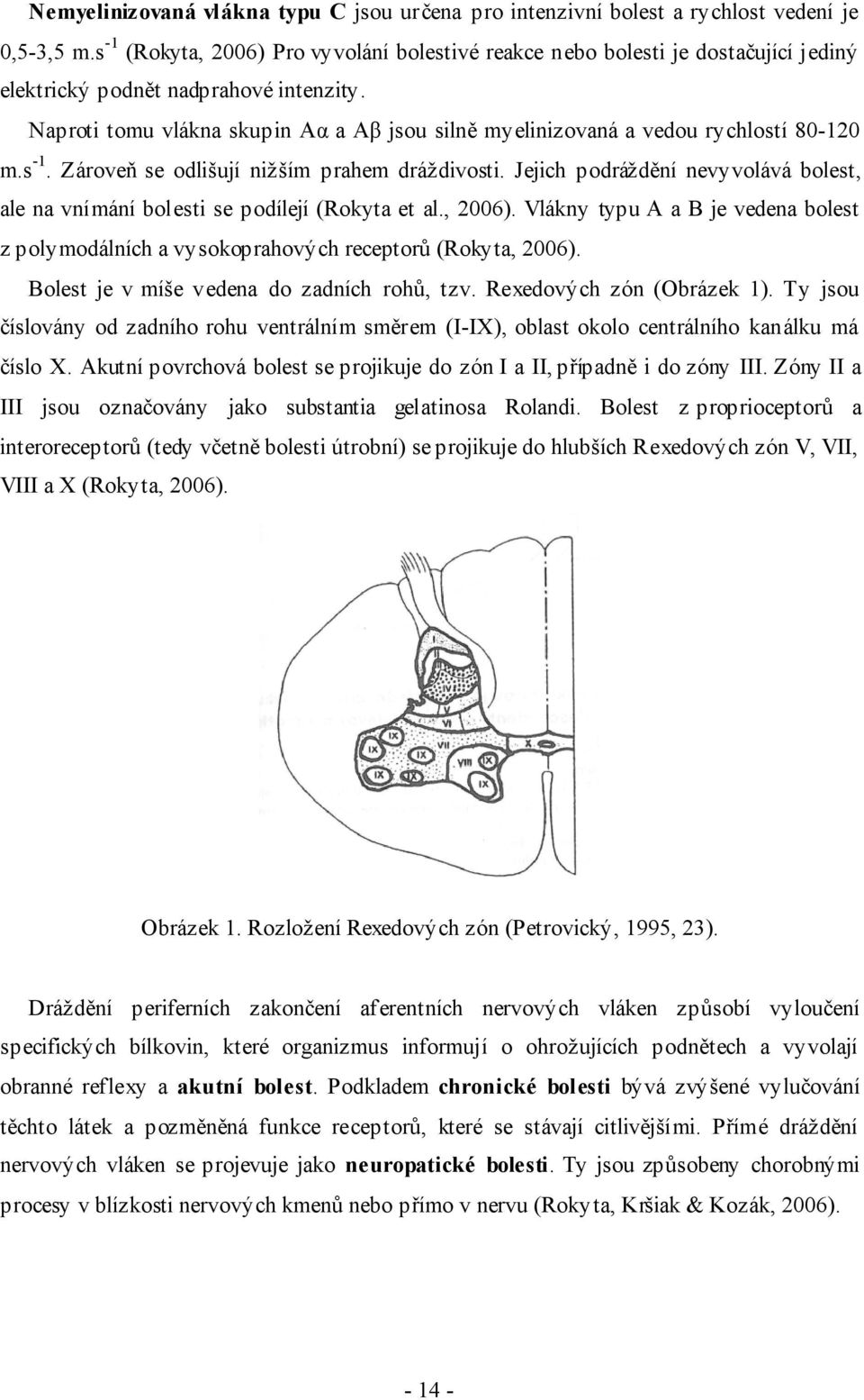 Naproti tomu vlákna skupin Aα a Aβ jsou silně myelinizovaná a vedou rychlostí 80-120 m.s -1. Zároveň se odlišují nižším prahem dráždivosti.