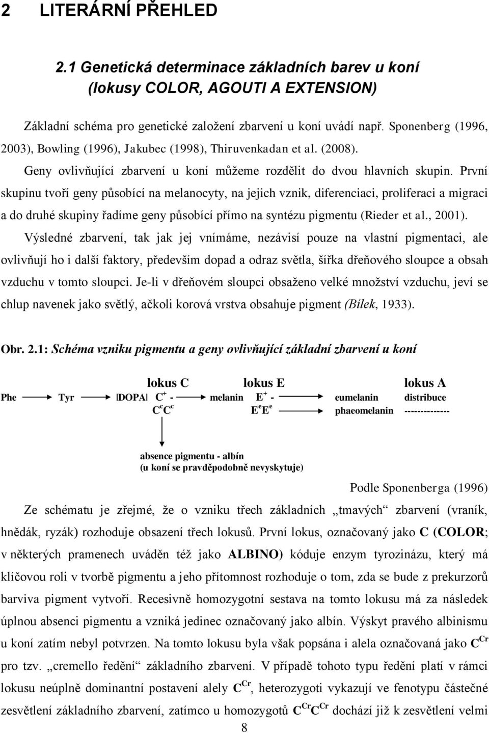 První skupinu tvoří geny působící na melanocyty, na jejich vznik, diferenciaci, proliferaci a migraci a do druhé skupiny řadíme geny působící přímo na syntézu pigmentu (Rieder et al., 2001).