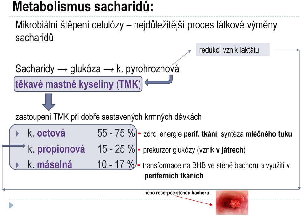 octová 55-75 % - zdroj energie perif. tkání, syntéza mléčného tuku k.