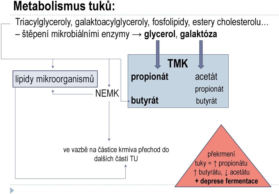 NEMK TMK propionát butyrát acetát propionát butyrát ve vazbě na částice krmiva