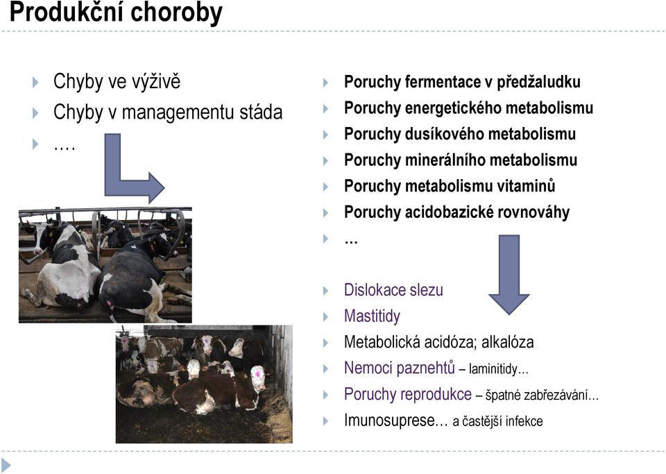 Poruchy metabolismu vitaminů Poruchy acidobazické rovnováhy Dislokace slezu Mastitidy Metabolická