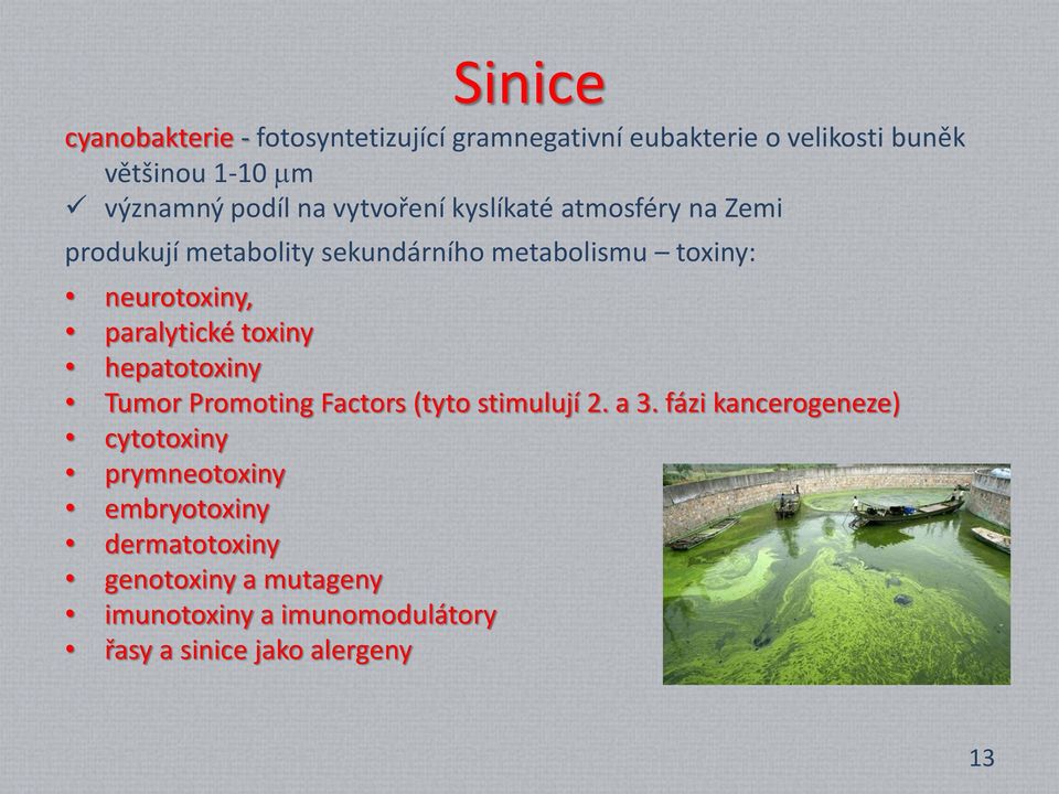 paralytické toxiny hepatotoxiny Tumor Promoting Factors (tyto stimulují 2. a 3.