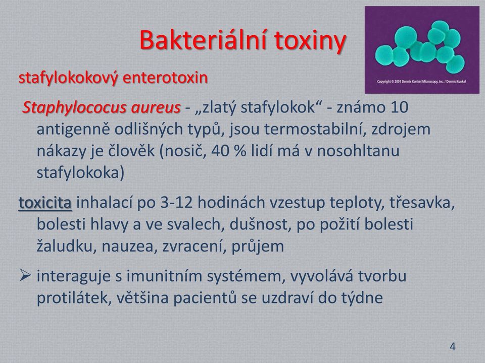 po 3-12 hodinách vzestup teploty, třesavka, bolesti hlavy a ve svalech, dušnost, po požití bolesti žaludku, nauzea,