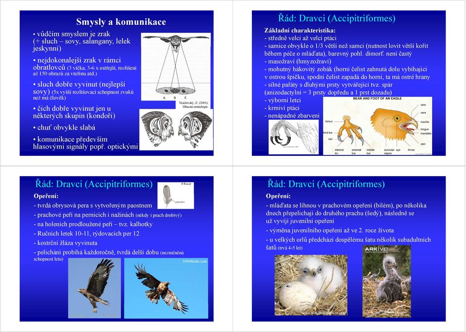 signály popř. optickými Veselovský, Z. (2001): Obecná ornitologie.