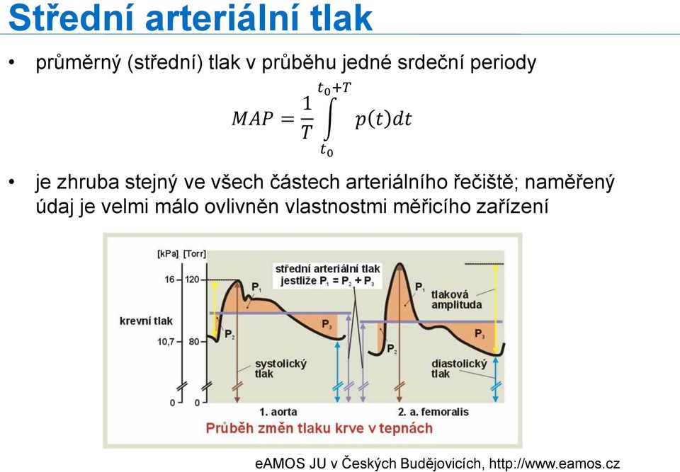 částech arteriálního řečiště; naměřený údaj je velmi málo ovlivněn