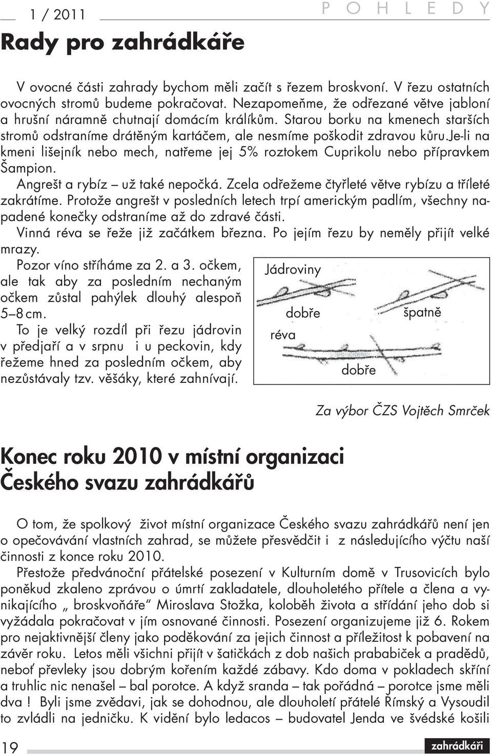 je-li na kmeni lišejník nebo mech, natřeme jej 5% roztokem Cuprikolu nebo přípravkem Šampion. Angrešt a rybíz už také nepočká. Zcela odřežeme čtyřleté větve rybízu a tříleté zakrátíme.