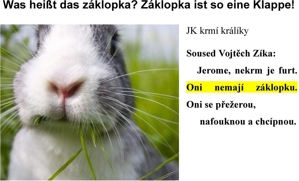 JK krmí králíky Soused Vojtěch Zíka: