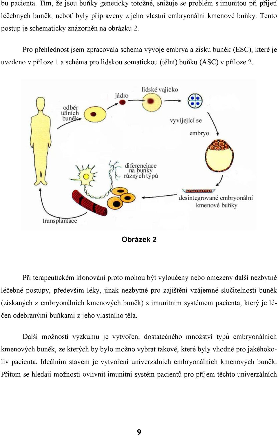 Pro přehlednost jsem zpracovala schéma vývoje embrya a zisku buněk (ESC), které je uvedeno v příloze 1 a schéma pro lidskou somatickou (tělní) buňku (ASC) v příloze 2.