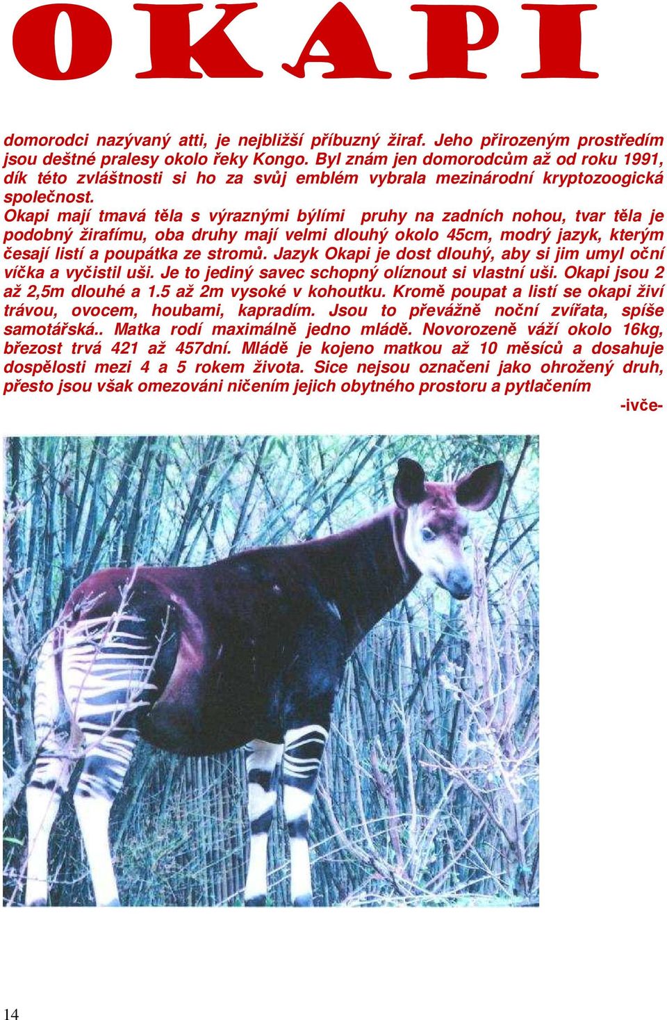 Okapi mají tmavá těla s výraznými býlími pruhy na zadních nohou, tvar těla je podobný žirafímu, oba druhy mají velmi dlouhý okolo 45cm, modrý jazyk, kterým česají listí a poupátka ze stromů.