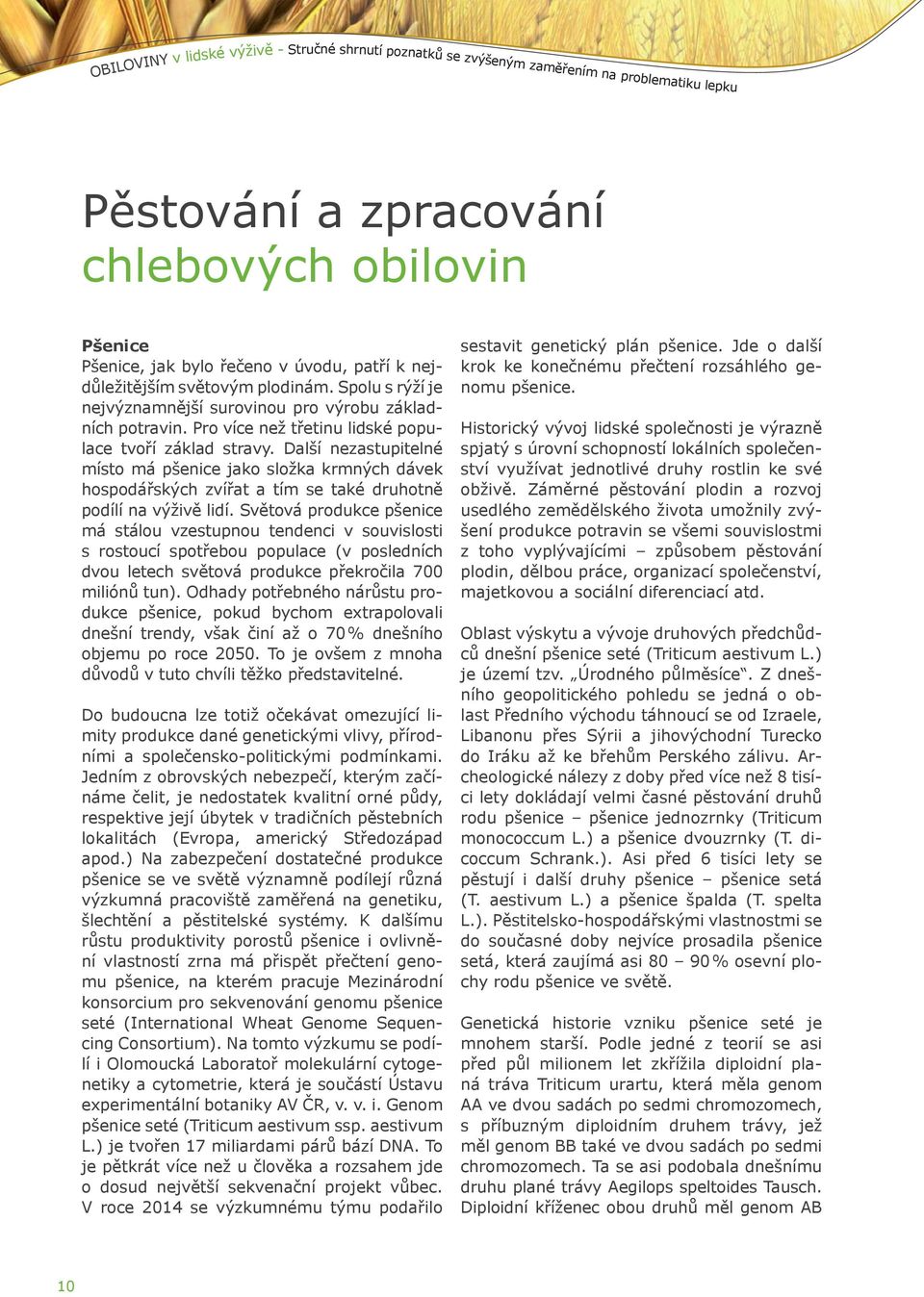 Další nezastupitelné místo má pšenice jako složka krmných dávek hospodářských zvířat a tím se také druhotně podílí na výživě lidí.