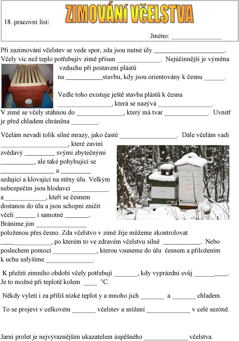 V zimě se včely stáhnou do, který má tvar. Uvnitř je před chladem chráněna. Včelám nevadí tolik silné mrazy, jako časté.