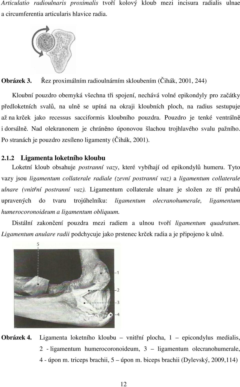 ploch, na radius sestupuje až na krček jako recessus sacciformis kloubního pouzdra. Pouzdro je tenké ventrálně i dorsálně. Nad olekranonem je chráněno úponovou šlachou trojhlavého svalu pažního.