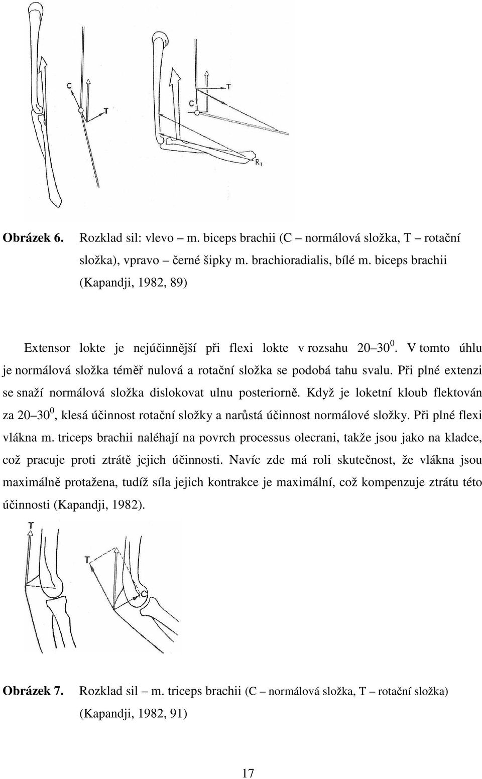 Při plné extenzi se snaží normálová složka dislokovat ulnu posteriorně. Když je loketní kloub flektován za 20 30 0, klesá účinnost rotační složky a narůstá účinnost normálové složky.