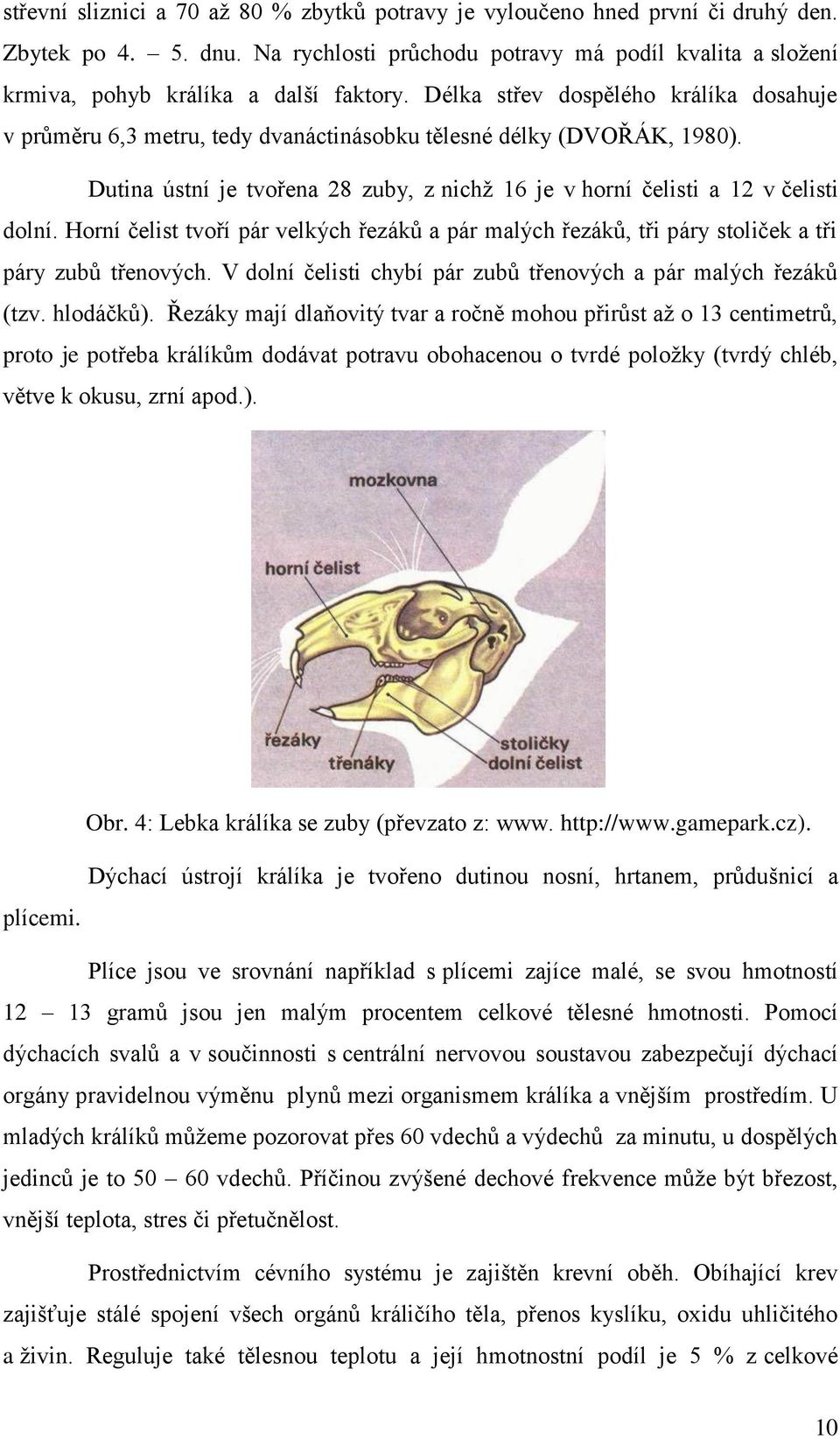 Horní čelist tvoří pár velkých řezáků a pár malých řezáků, tři páry stoliček a tři páry zubů třenových. V dolní čelisti chybí pár zubů třenových a pár malých řezáků (tzv. hlodáčků).