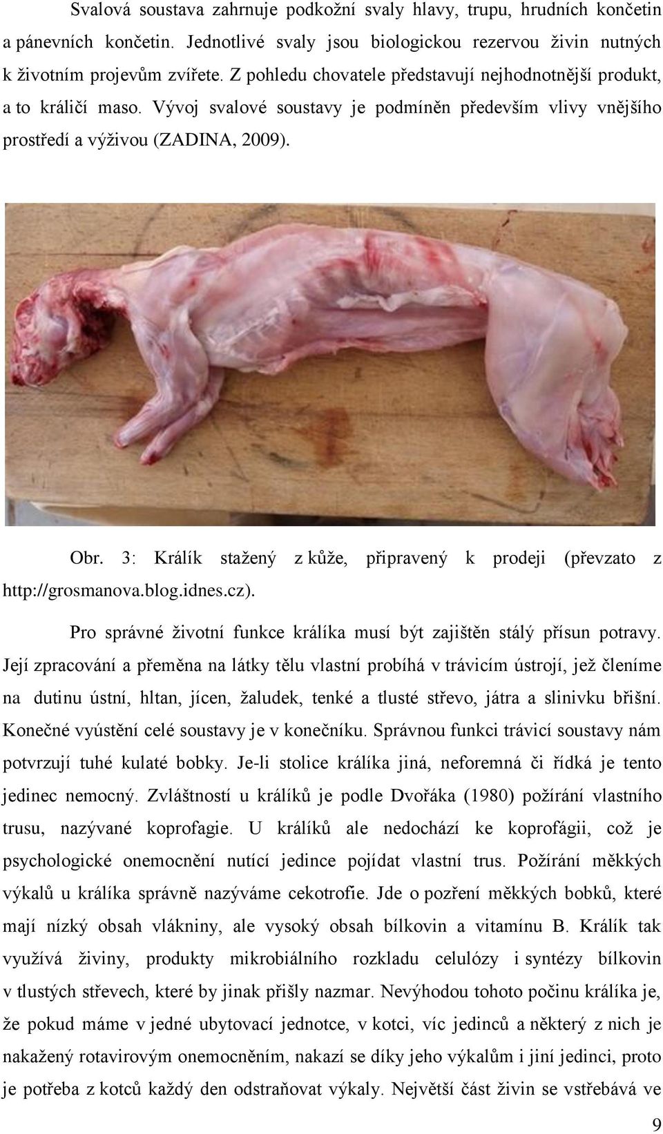 3: Králík stažený z kůže, připravený k prodeji (převzato z http://grosmanova.blog.idnes.cz). Pro správné životní funkce králíka musí být zajištěn stálý přísun potravy.