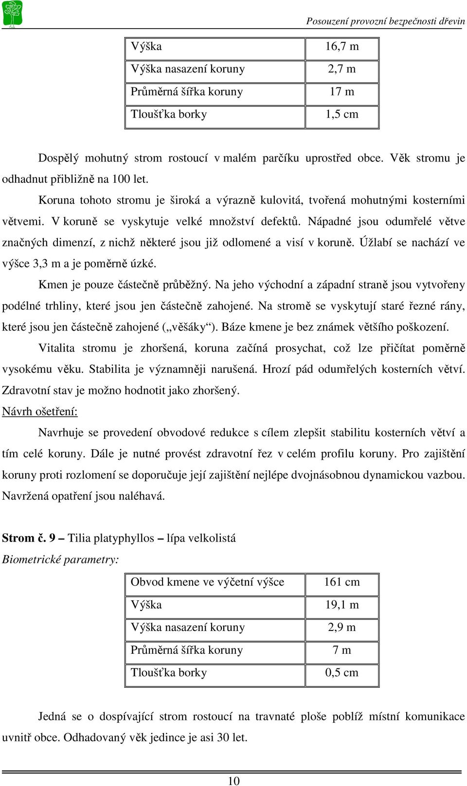 Nápadné jsou odumřelé větve značných dimenzí, z nichž některé jsou již odlomené a visí v koruně. Úžlabí se nachází ve výšce 3,3 m a je poměrně úzké. Kmen je pouze částečně průběžný.