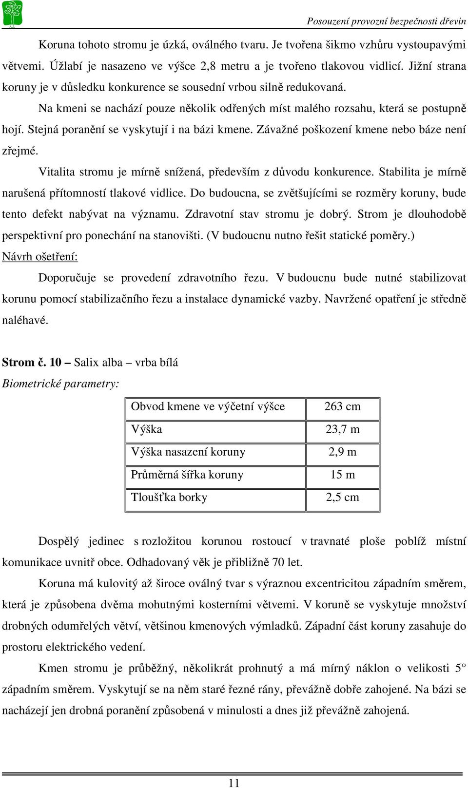 Stejná poranění se vyskytují i na bázi kmene. Závažné poškození kmene nebo báze není zřejmé. Vitalita stromu je mírně snížená, především z důvodu konkurence.