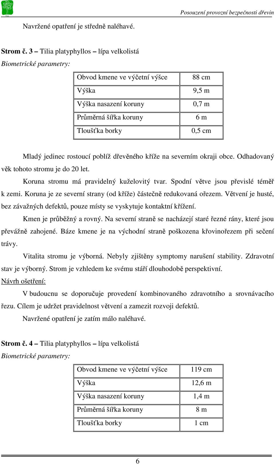 Větvení je husté, bez závažných defektů, pouze místy se vyskytuje kontaktní křížení. Kmen je průběžný a rovný. Na severní straně se nacházejí staré řezné rány, které jsou převážně zahojené.