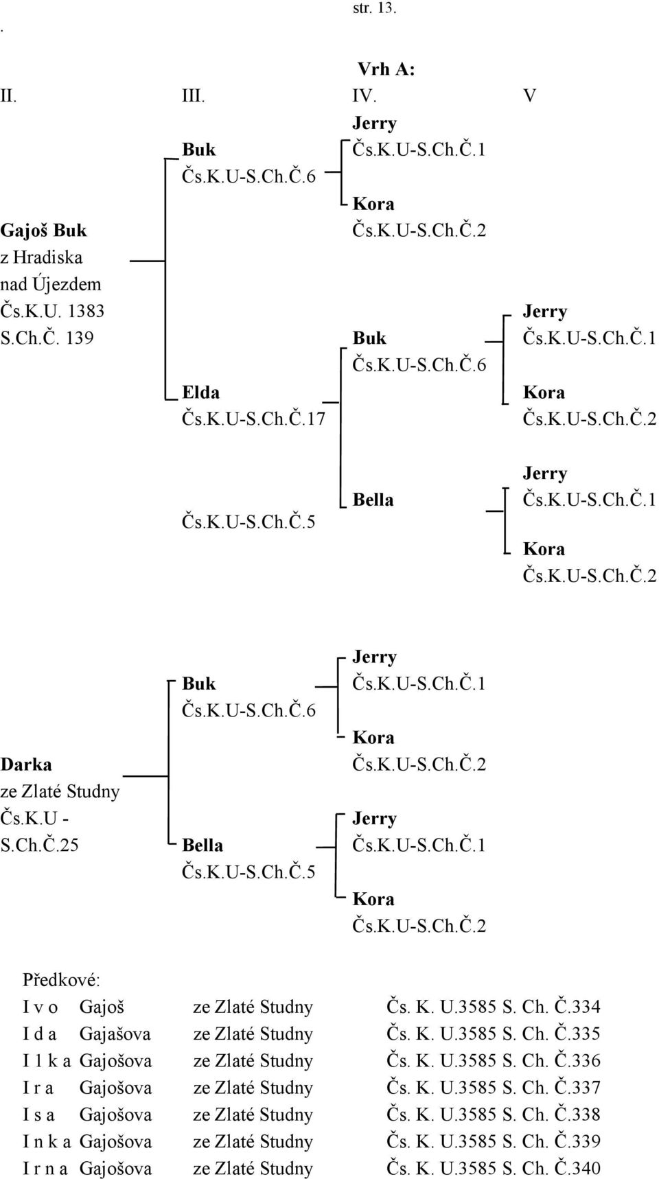 K.U-S.Ch.Č.1 Čs.K.U-S.Ch.Č.5 Kora Čs.K.U-S.Ch.Č.2 Předkové: I v o Gajoš ze Zlaté Studny Čs. K. U.3585 S. Ch. Č.334 I d a Gajašova ze Zlaté Studny Čs. K. U.3585 S. Ch. Č.335 I 1 k a Gajošova ze Zlaté Studny Čs.