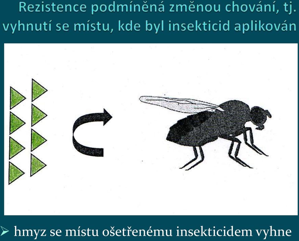 ošetřenému