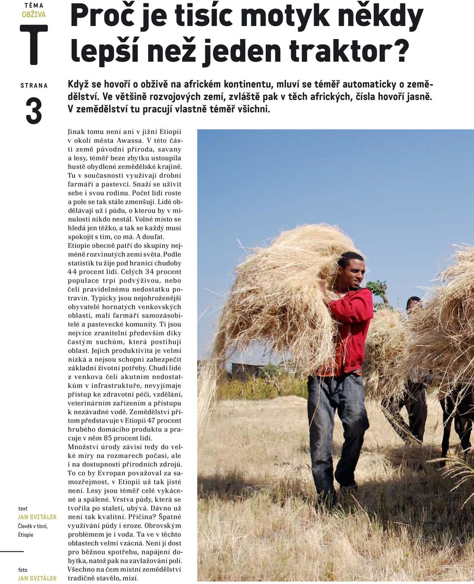 V zemědělství tu pracují vlastně téměř všichni. Jinak tomu není ani v jižní Etiopii v oko lí města Awassa.