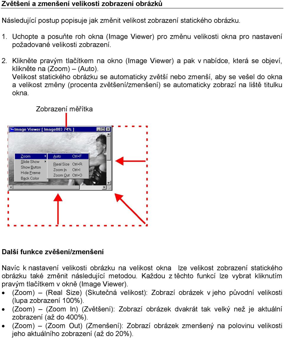 Klikněte pravým tlačítkem na okno (Image Viewer) a pak v nabídce, která se objeví, klikněte na (Zoom) (Auto).