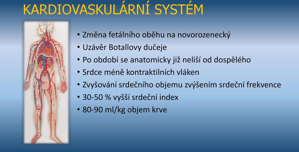 dospělého Srdce méně kontraktilních vláken Zvyšování srdečního