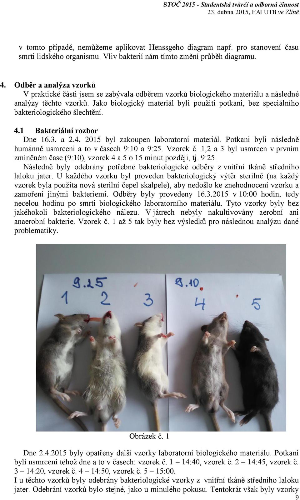 Jako biologický materiál byli použiti potkani, bez speciálního bakteriologického šlechtění. 4.1 Bakteriální rozbor Dne 16.3. a 2.4. 2015 byl zakoupen laboratorní materiál.