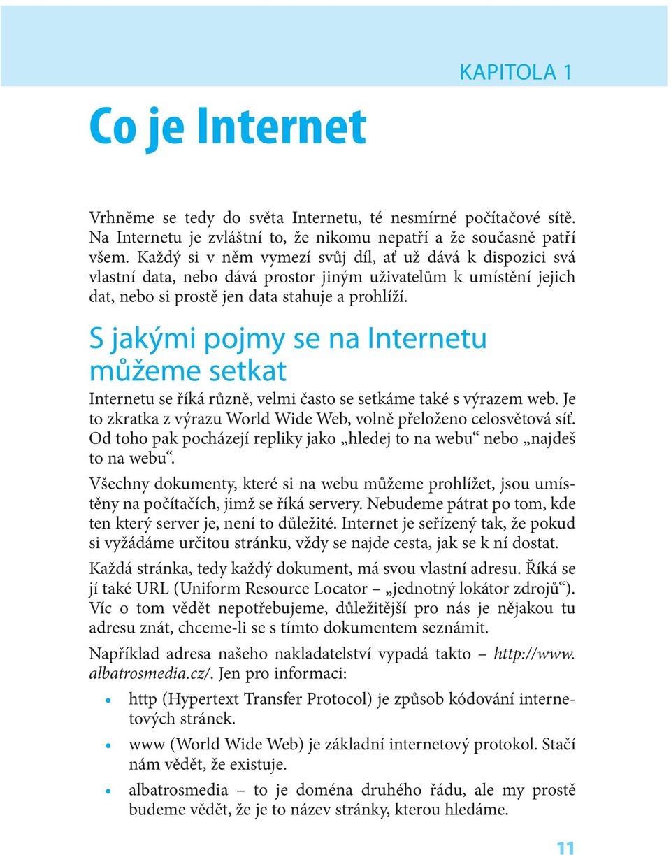 S jakými pojmy se na Internetu můžeme setkat Internetu se říká různě, velmi často se setkáme také s výrazem web. Je to zkratka z výrazu World Wide Web, volně přeloženo celosvětová síť.