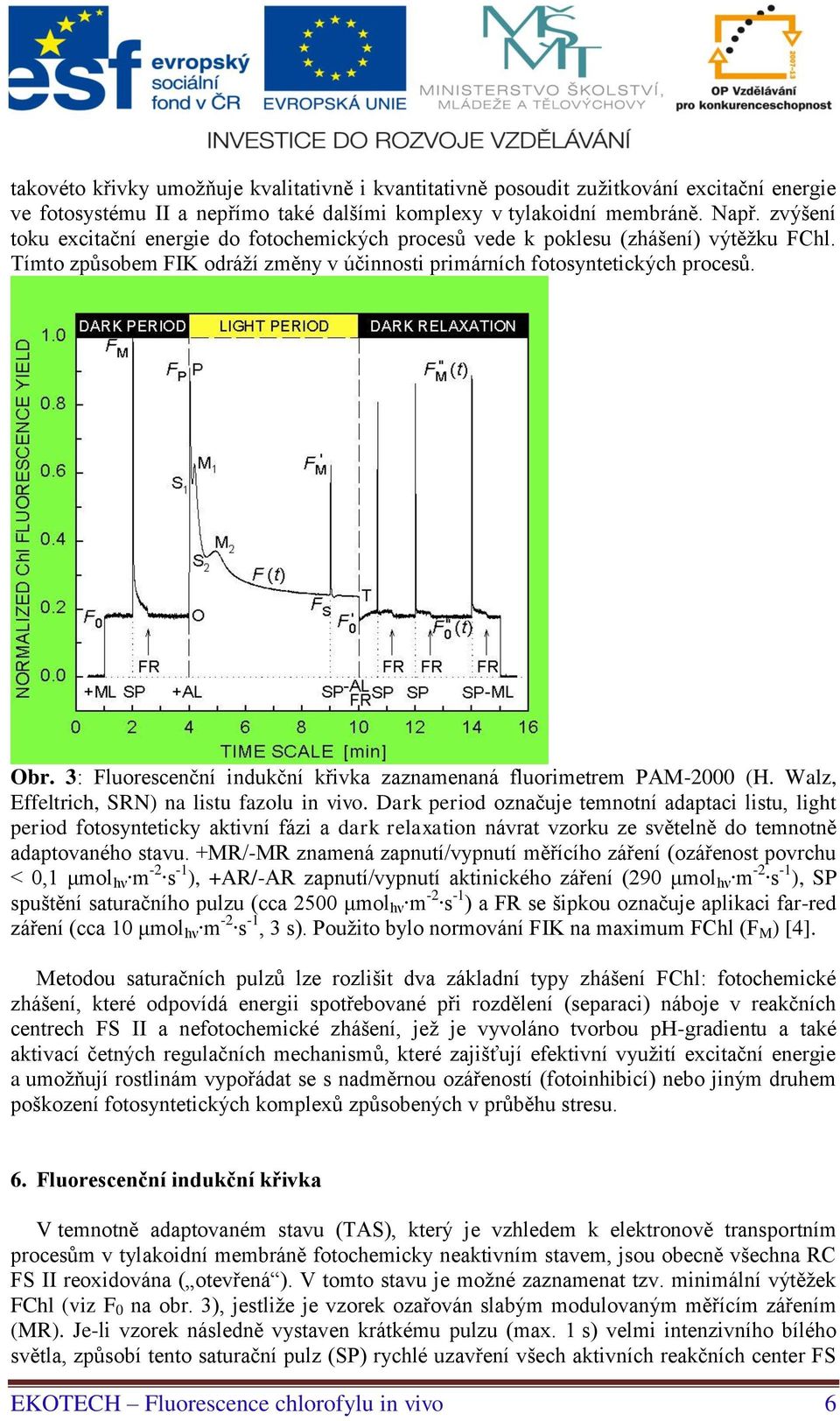 3: Fluorescenční indukční křivka zaznamenaná fluorimetrem PAM-2000 (H. Walz, Effeltrich, SRN) na listu fazolu in vivo.