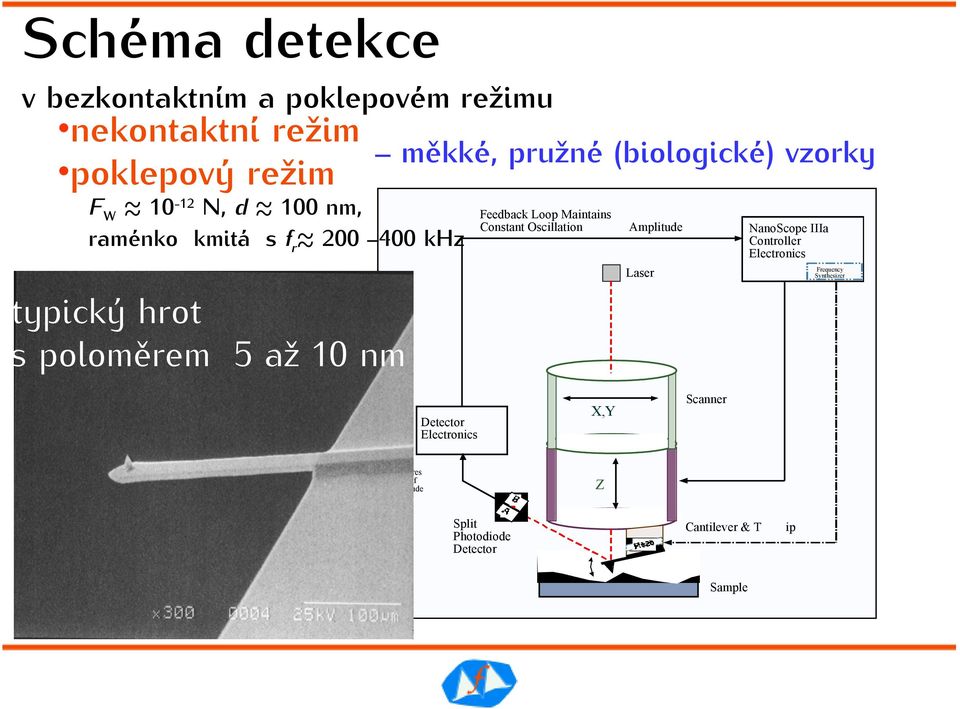 Oscillation Amplitude NanoScope IIIa Controller Electronics Frequency Synthesizer Laser typický hrot s