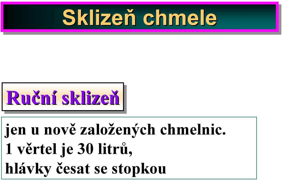 založených chmelnic.