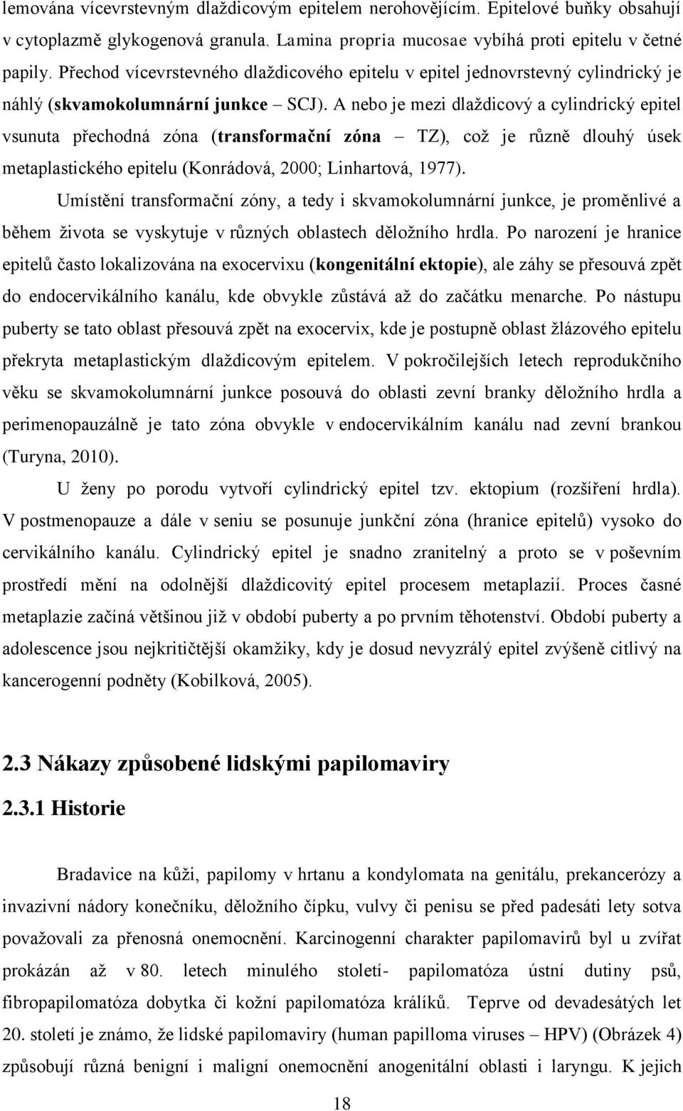 A nebo je mezi dlaždicový a cylindrický epitel vsunuta přechodná zóna (transformační zóna TZ), což je různě dlouhý úsek metaplastického epitelu (Konrádová, 2000; Linhartová, 1977).