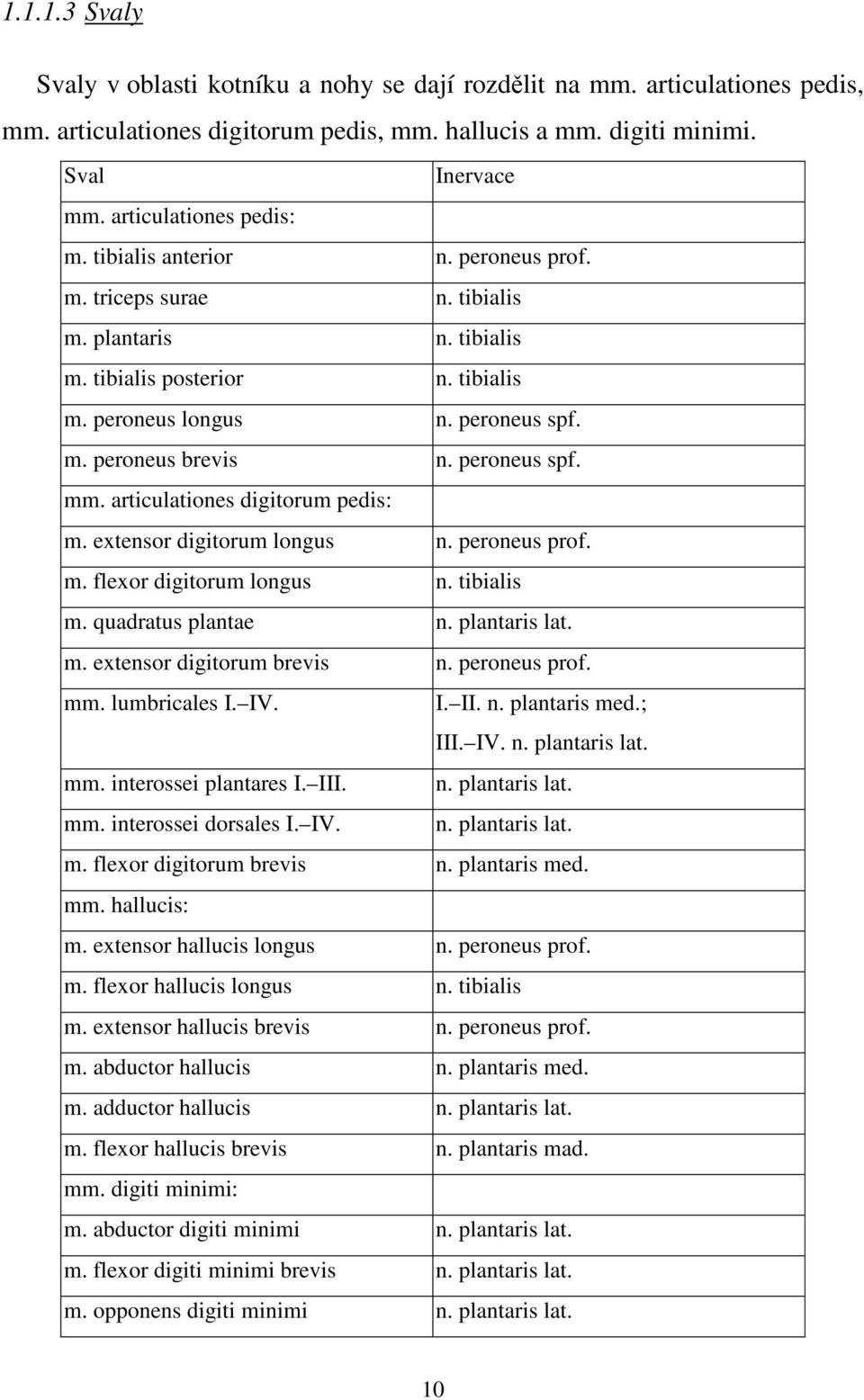 peroneus spf. mm. articulationes digitorum pedis: m. extensor digitorum longus n. peroneus prof. m. flexor digitorum longus n. tibialis m. quadratus plantae n. plantaris lat. m. extensor digitorum brevis n.