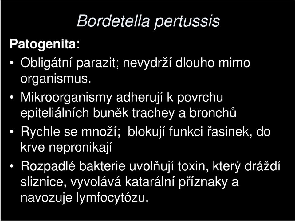 Mikroorganismy adherují k povrchu epiteliálních buněk trachey a bronchů Rychle se