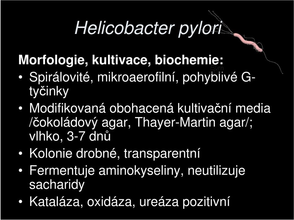 /čokoládový agar, ThayerMartin agar/; vlhko, 37 dnů Kolonie drobné,