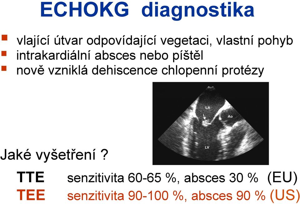 dehiscence chlopenní protézy Jaké vyšetření?