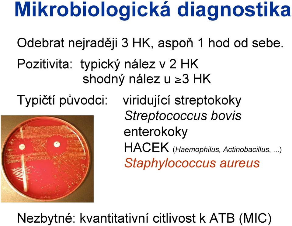 viridující streptokoky Streptococcus bovis enterokoky HACEK (Haemophilus,