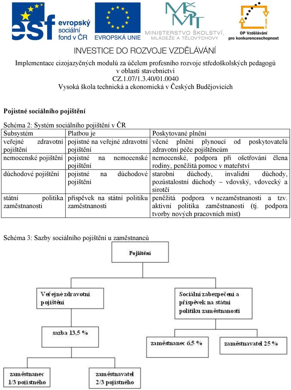 mateřství důchodové pojištění pojistné na důchodové starobní důchody, invalidní důchody, pojištění pozůstalostní důchody vdovský, vdovecký a státní politika zaměstnanosti příspěvek na