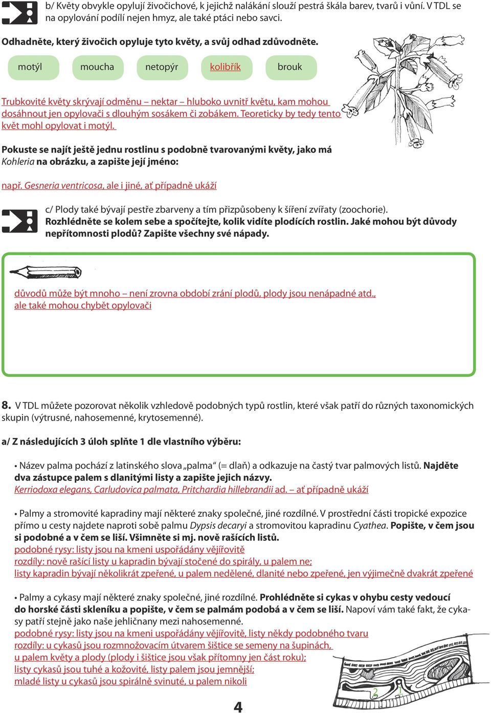 motýl moucha netopýr kolibřík brouk Trubkovité květy skrývají odměnu nektar hluboko uvnitř květu, kam mohou dosáhnout jen opylovači s dlouhým sosákem či zobákem.