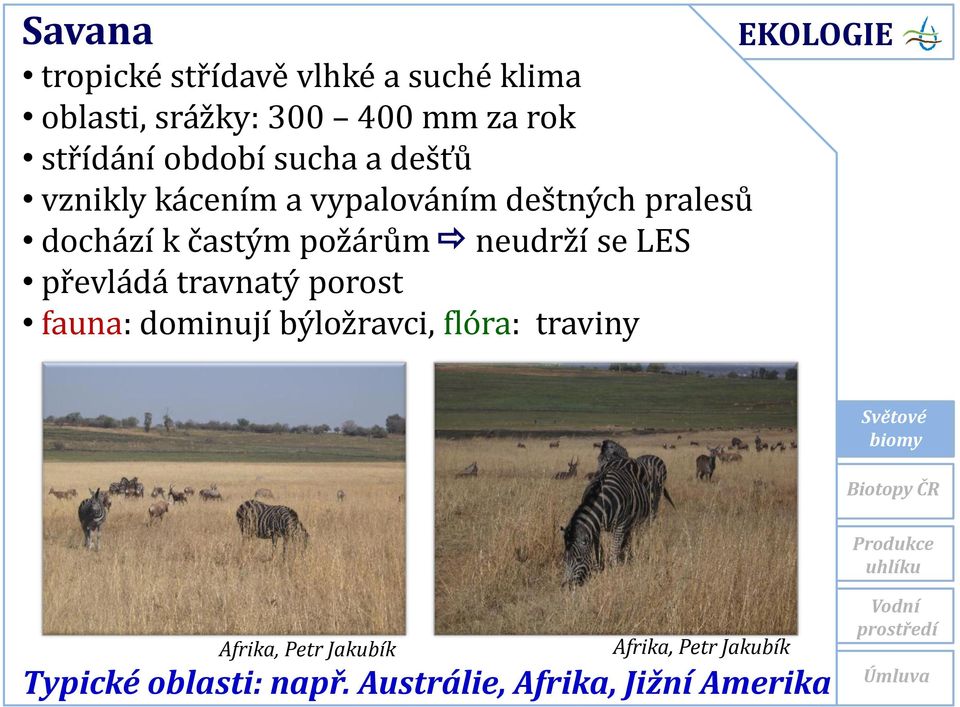 požárům neudrží se LES převládá travnatý porost fauna: dominují býložravci, flóra: traviny