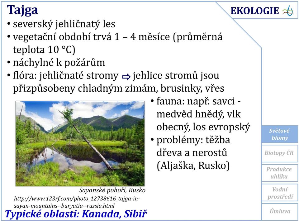 savci - medvěd hnědý, vlk obecný, los evropský problémy: těžba dřeva a nerostů (Aljaška, Rusko) Sayanské