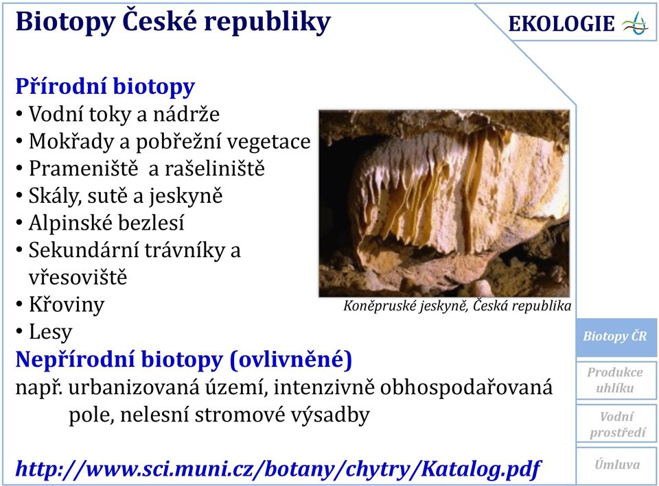 jeskyně, Česká republika Křoviny Lesy Nepřírodní biotopy (ovlivněné) např.