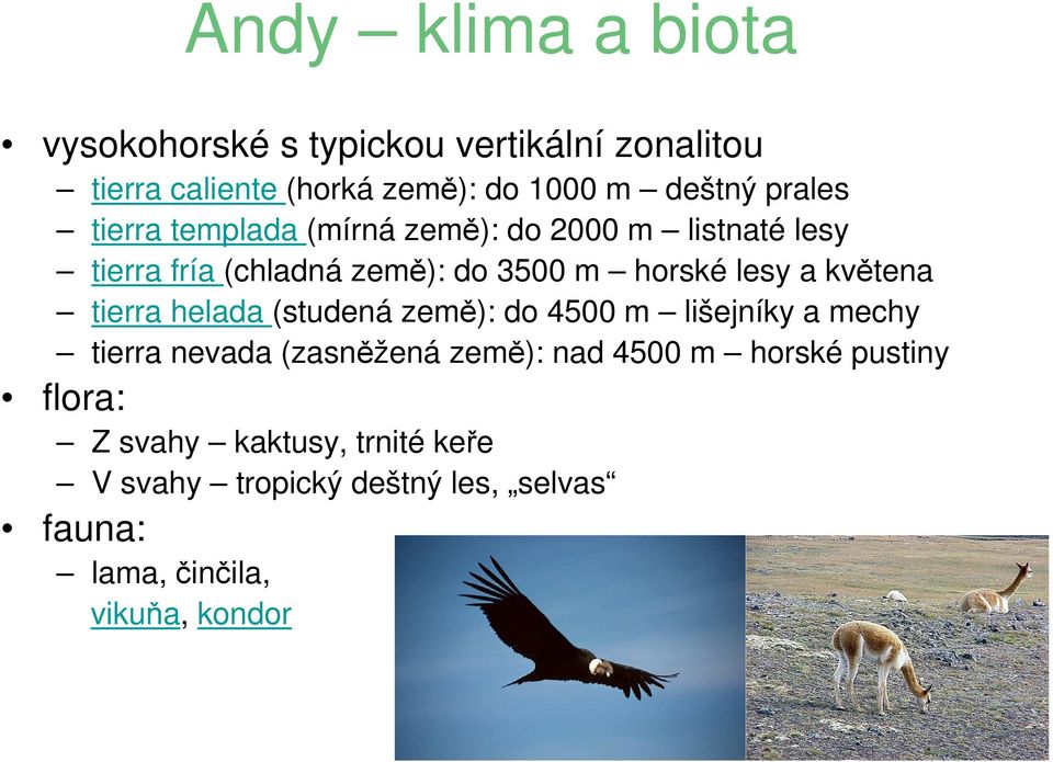 květena tierra helada (studená země): do 4500 m lišejníky a mechy tierra nevada (zasněžená země): nad 4500 m