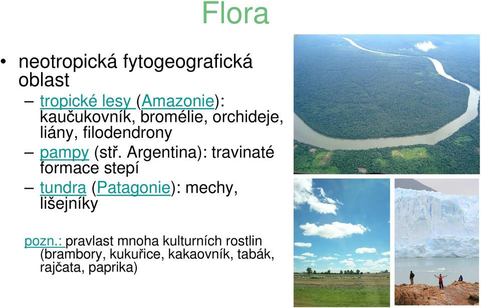 Argentina): travinaté formace stepí tundra (Patagonie): mechy, lišejníky