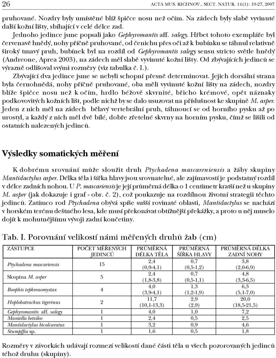 Hřbet tohoto exempláře byl červenavě hnědý, nohy příčně pruhované, od čenichu přes oči až k bubínku se táhnul relativně široký tmavý pruh, bubínek byl na rozdíl od Gephyromantis salegy sensu stricto