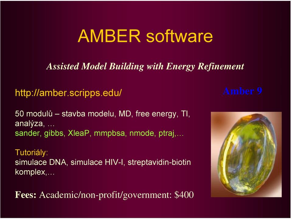 edu/ Amber 9 50 modulů stavba modelu, MD, free energy, TI, analýza, sander,