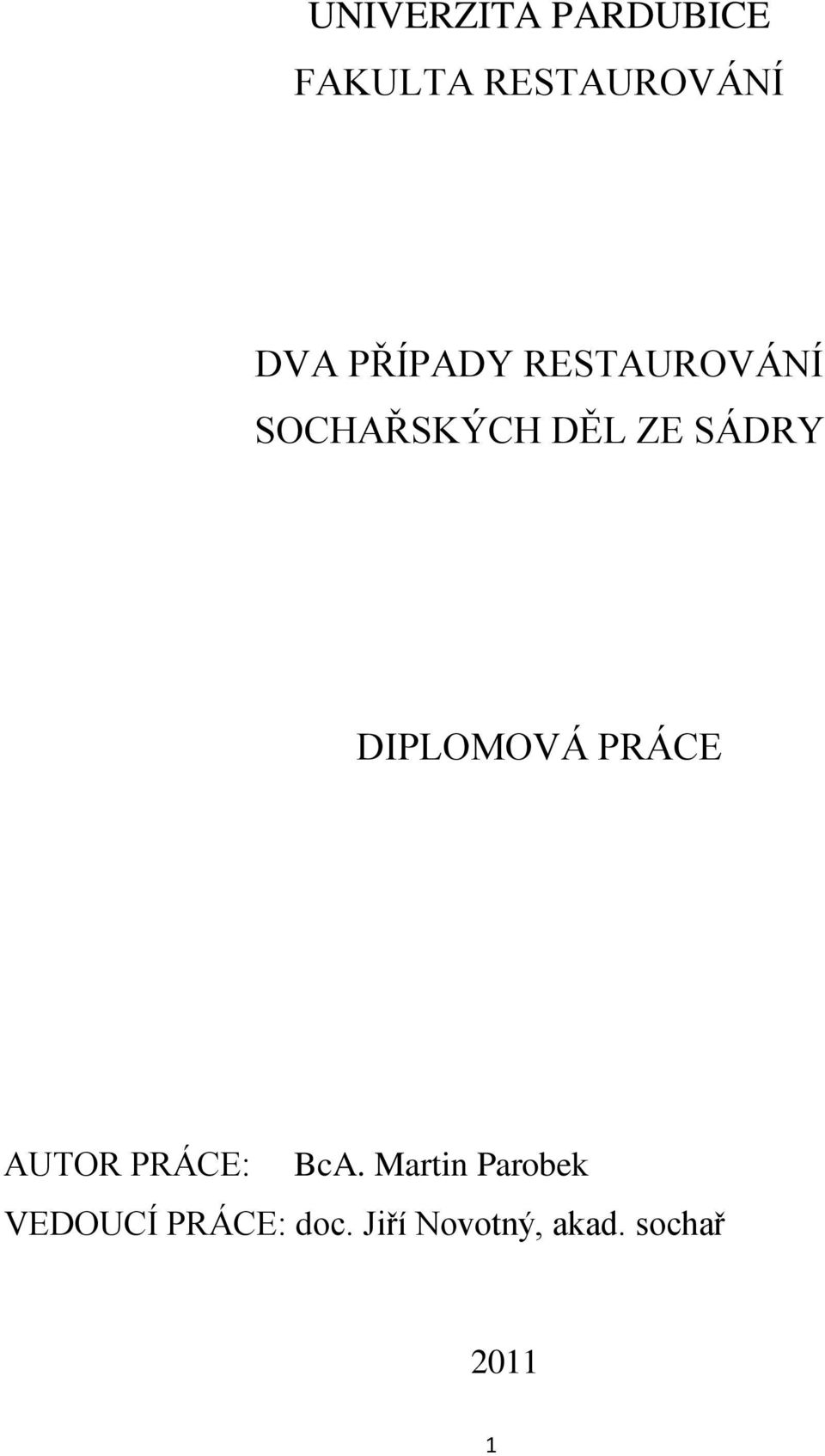 DIPLOMOVÁ PRÁCE AUTOR PRÁCE: BcA.